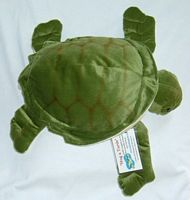 Big Hug a Turtle