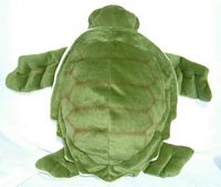 Small Hug a Turtle