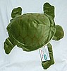 Big Hug a Turtle